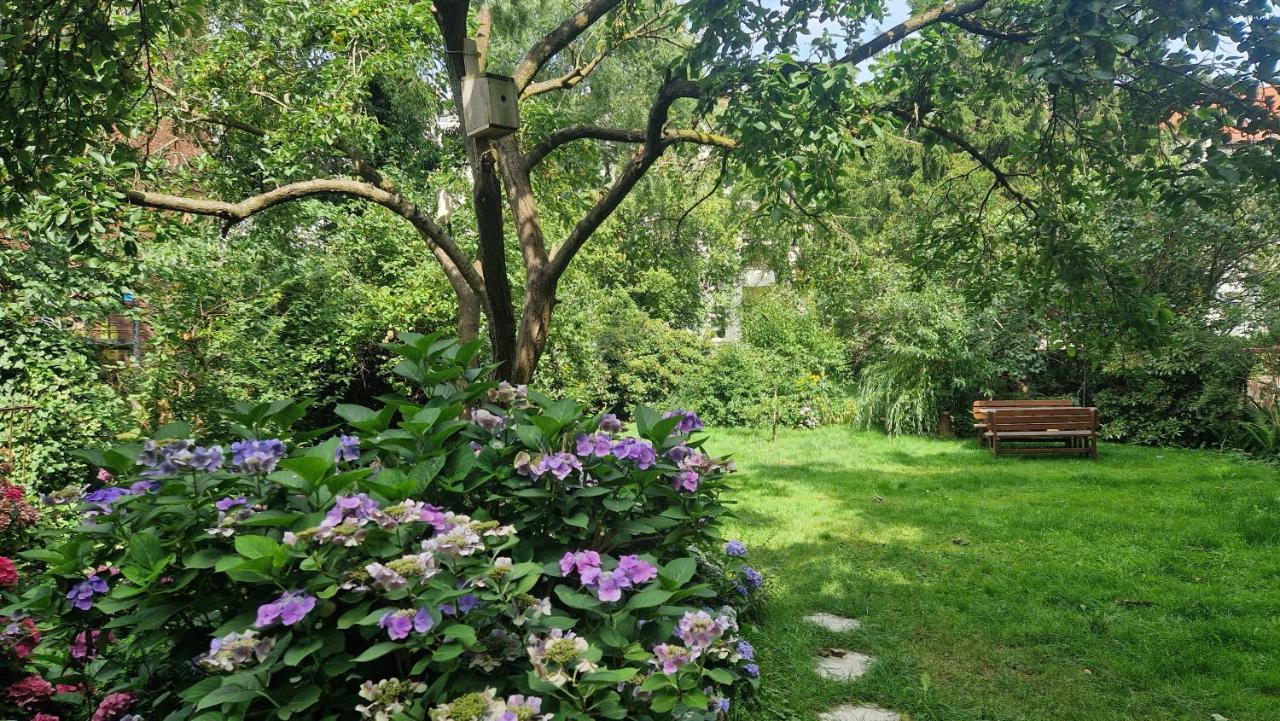 Pension Siewert Dessau-Rosslau Dış mekan fotoğraf